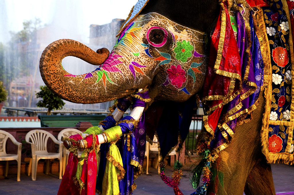 SeekTeachers_Gangaur_Festival_Jaipur