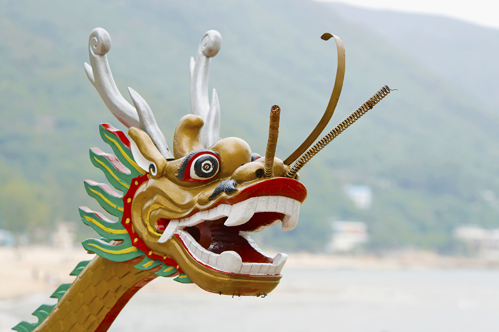 SeekTeachers_Chinese_dragon_head