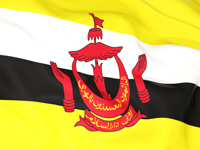 flag image