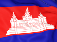 flag image