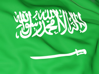 flag image